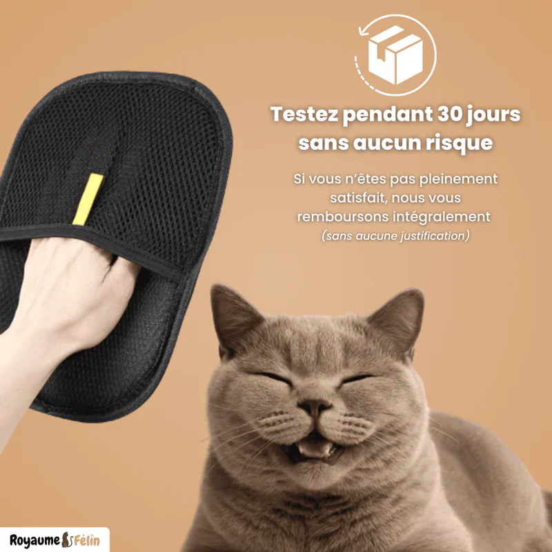 Gant Anti-Poils Réutilisable et Écologique