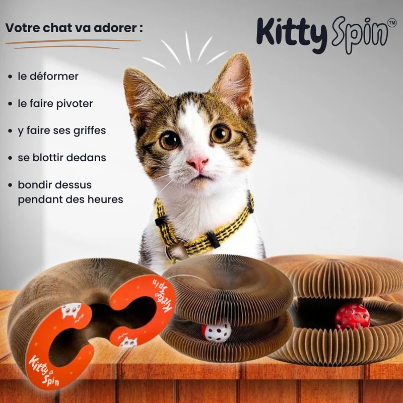 KittySpin™ | Jouet interactif pour chats