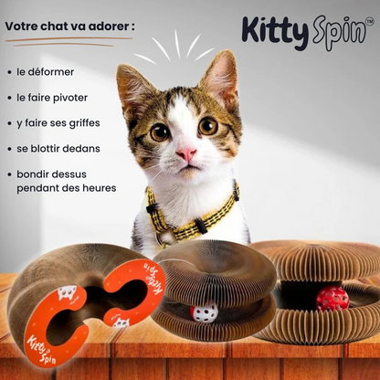 KittySpin™ | Jouet interactif pour chats