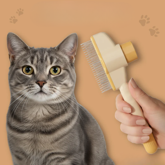 SmartBrush™ – Brosse anti-poils morts