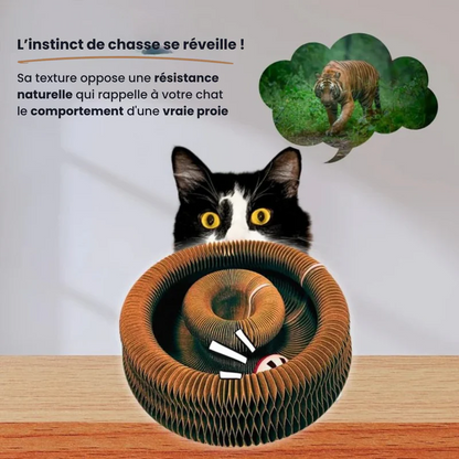 KittySpin™ | Jouet interactif pour chats