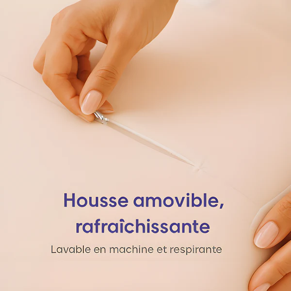 Morphéa Anti-douleur Oreiller