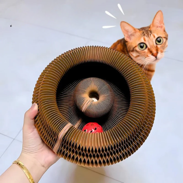 KittySpin™ | Jouet interactif pour chats