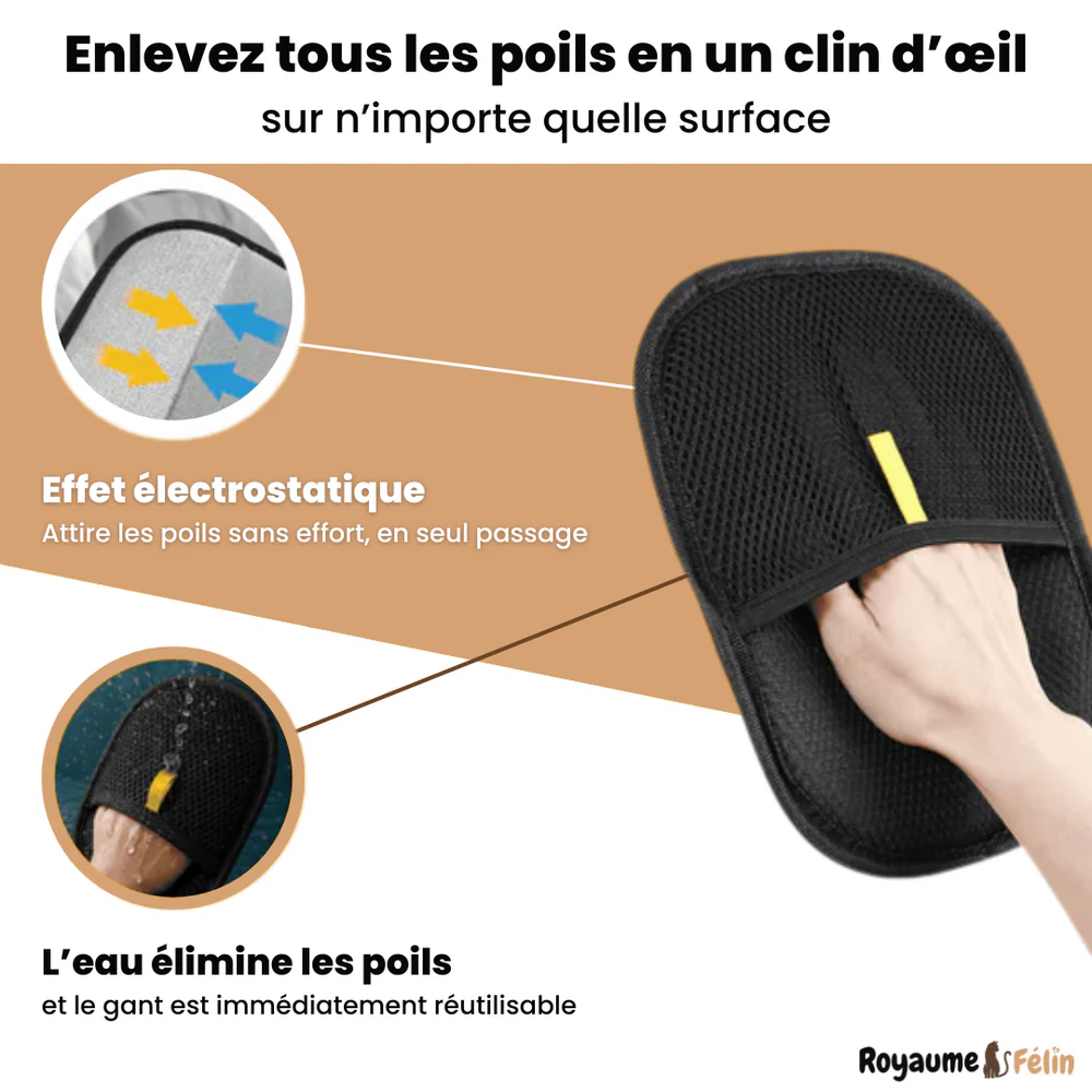 Gant Anti-Poils Réutilisable et Écologique