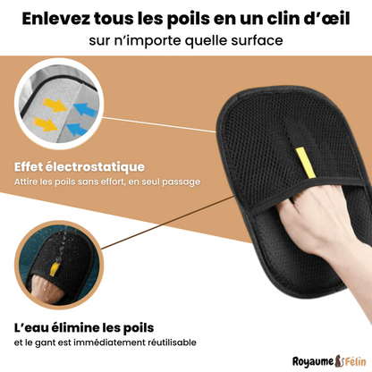 Gant Anti-Poils Réutilisable et Écologique