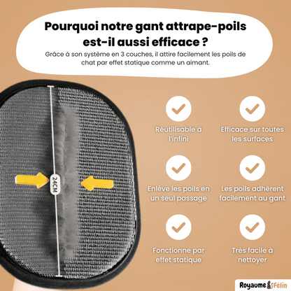 Gant Anti-Poils Réutilisable et Écologique