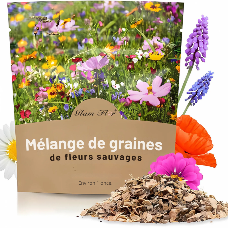 Graines de fleurs sauvages mixtes Glamflor